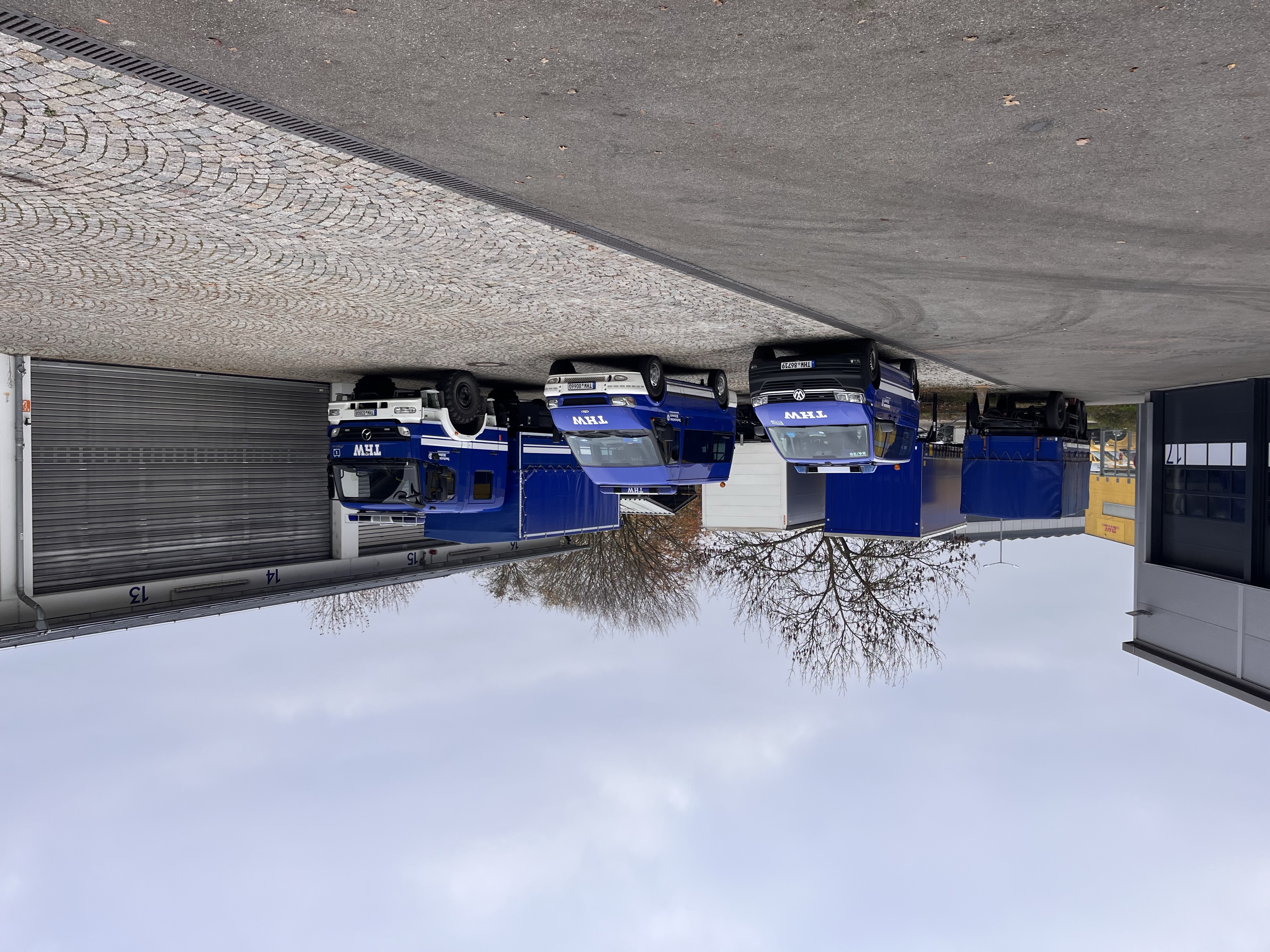 Christbaum sammeln 2025